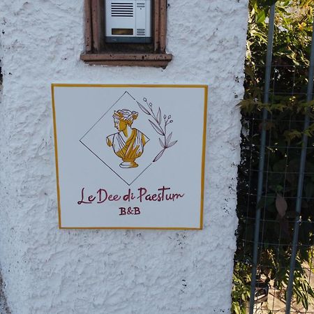 B&B Le Dee Di Paestum Zewnętrze zdjęcie